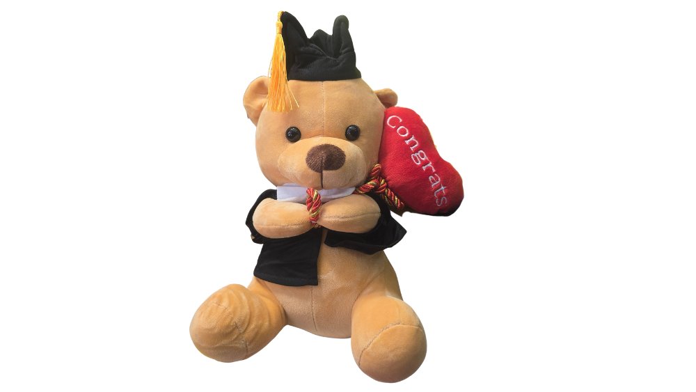 Graduation Teddy Bear Plush – 30cm Congratulation Gift Bear