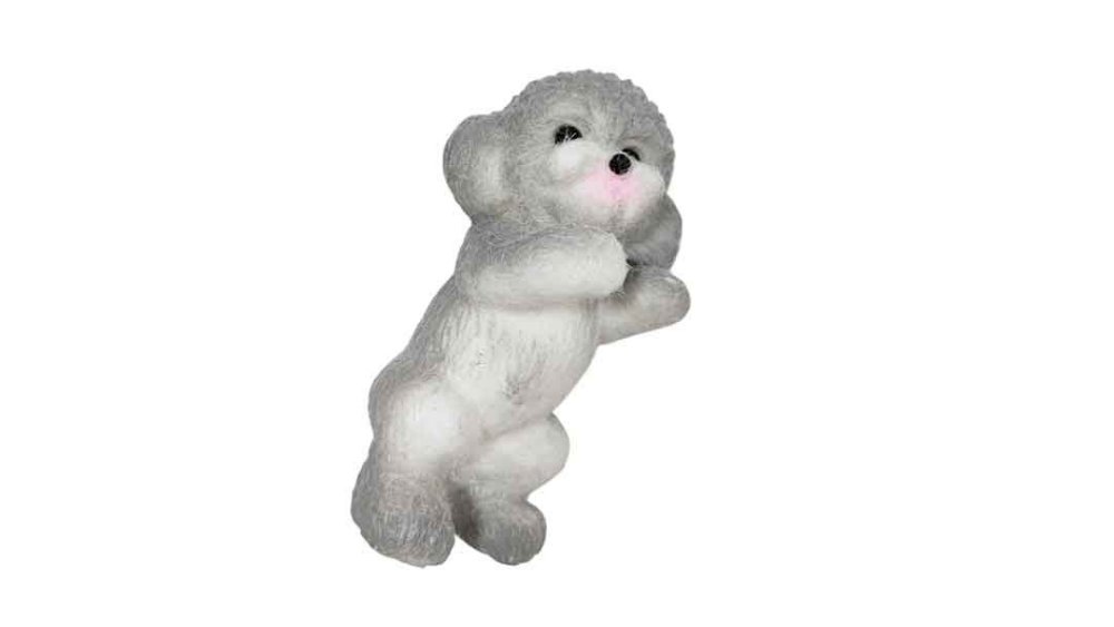 Squishy Cute Dog