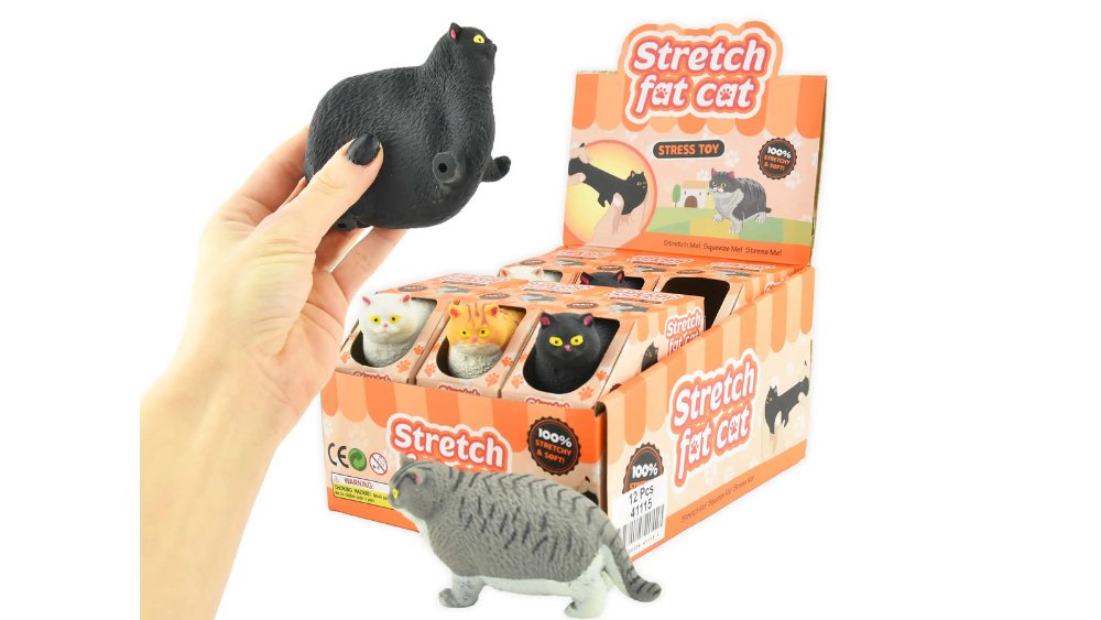 Super Stretch Fat Cat in a box