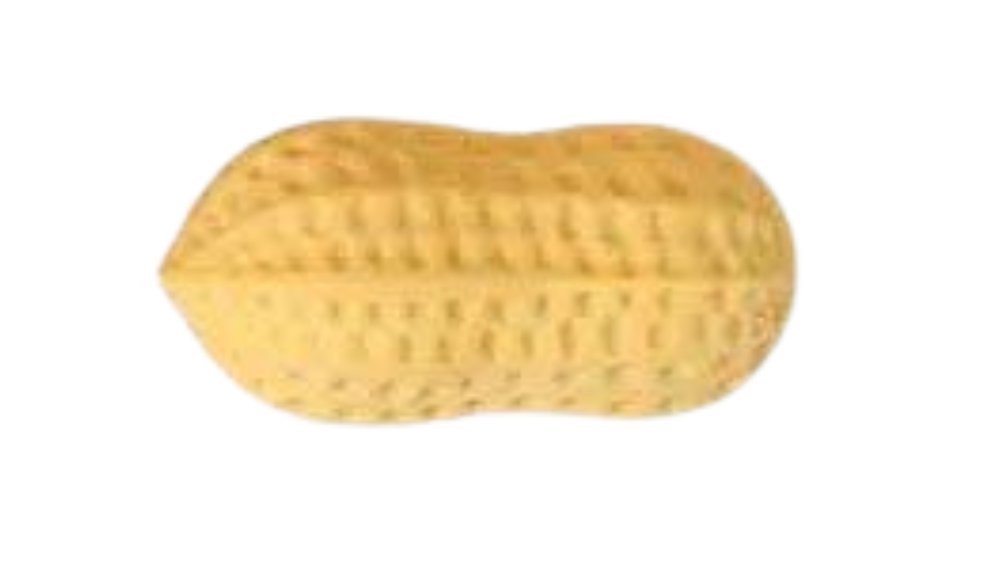 Peanut Squishy slow rise