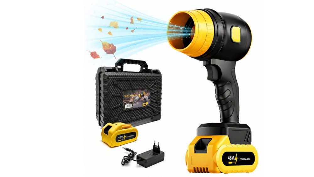 Turbo Fun 48V with case
