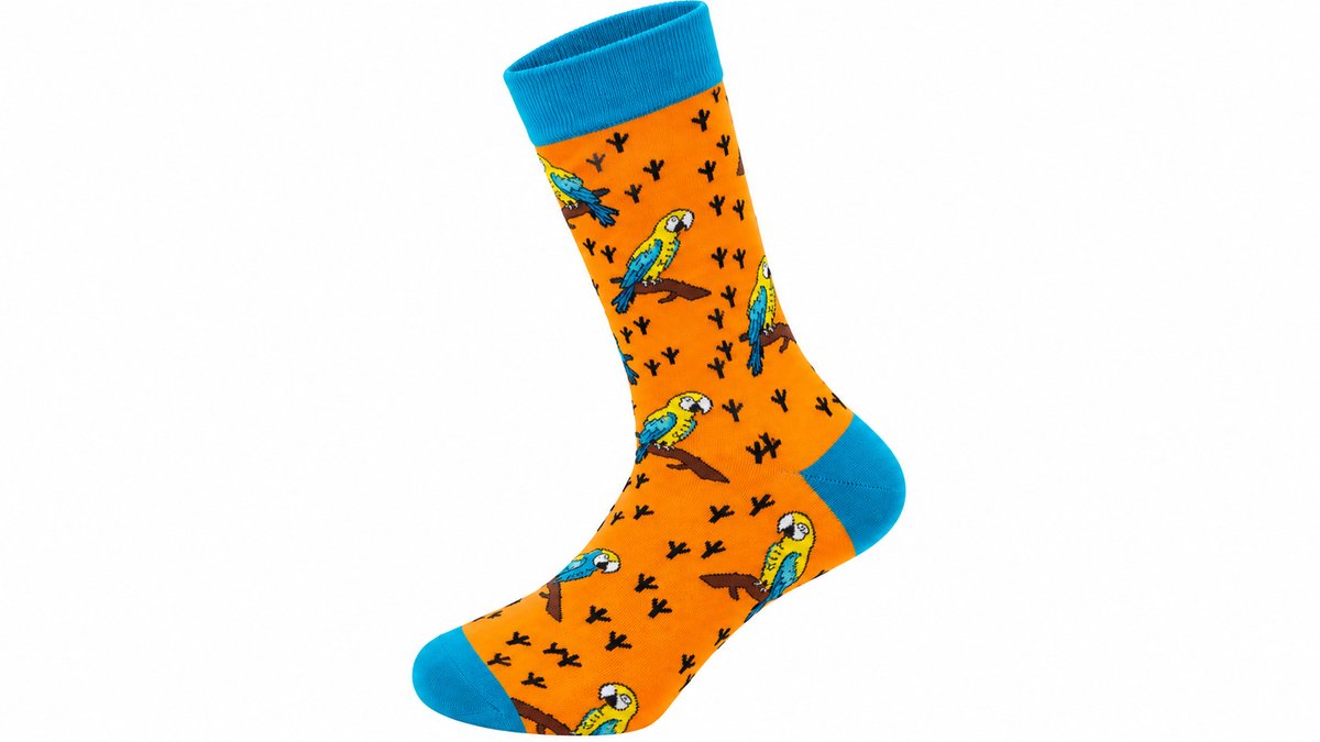 Colourful Parrot Orange Long Socks