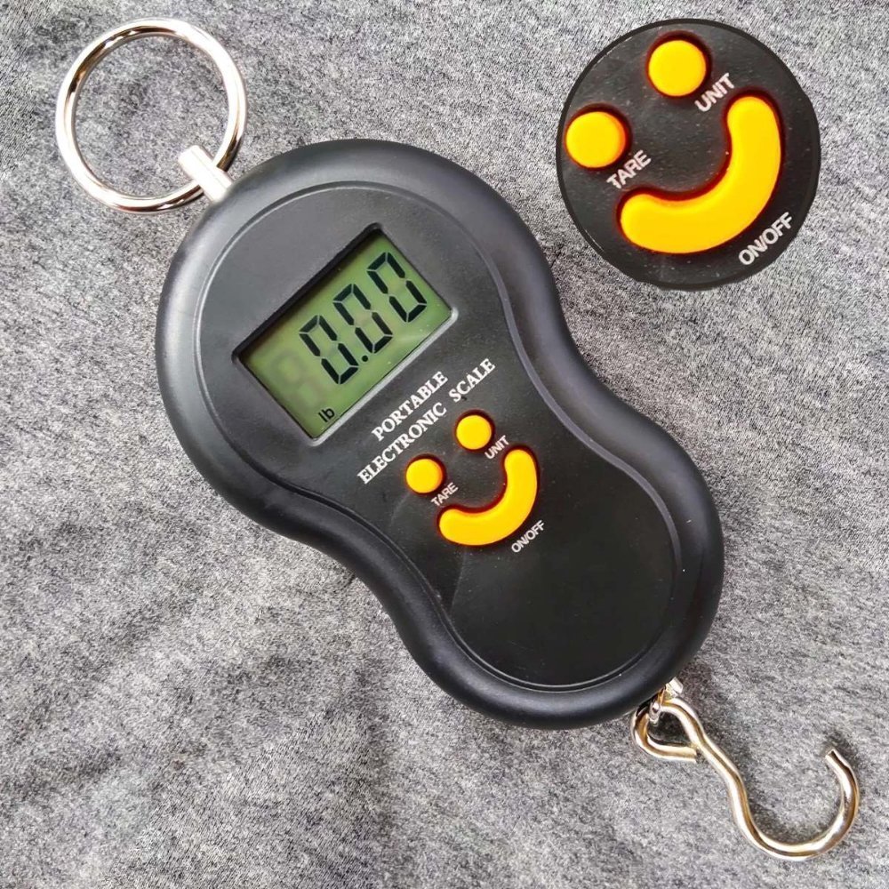 Luggage scale